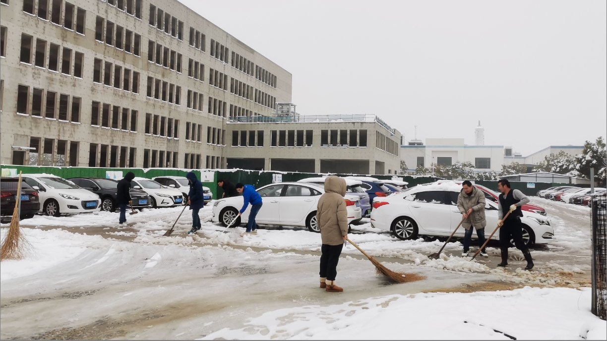 雪绽琼花日 扫雪暖心时丨乐投LETOU·（中国）官网开展扫雪除冰活动